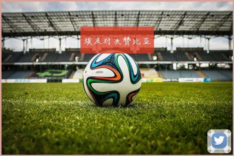 埃及对决赞比亚