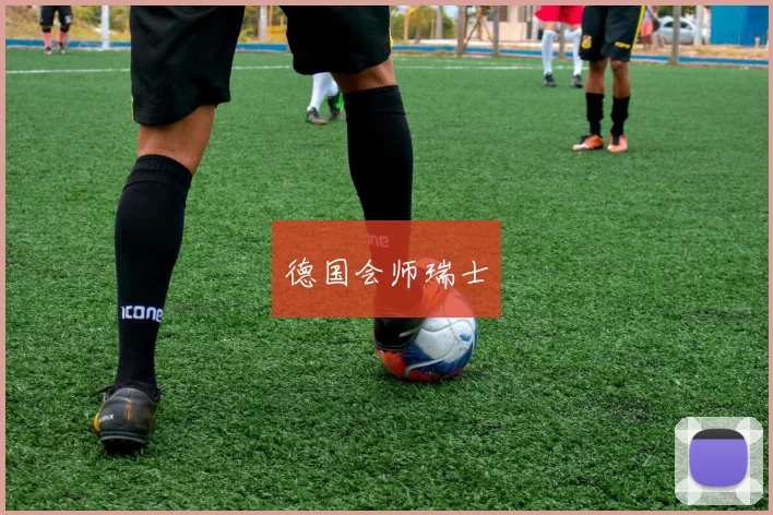 德国会师瑞士